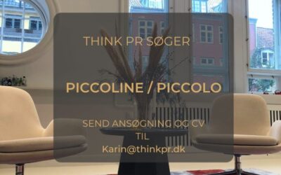 PICCOLINE/ PICCOLO SØGES!